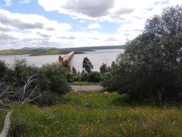 Flora del Cerro Masatrigo